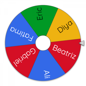 exercise-wheel-300x300.png